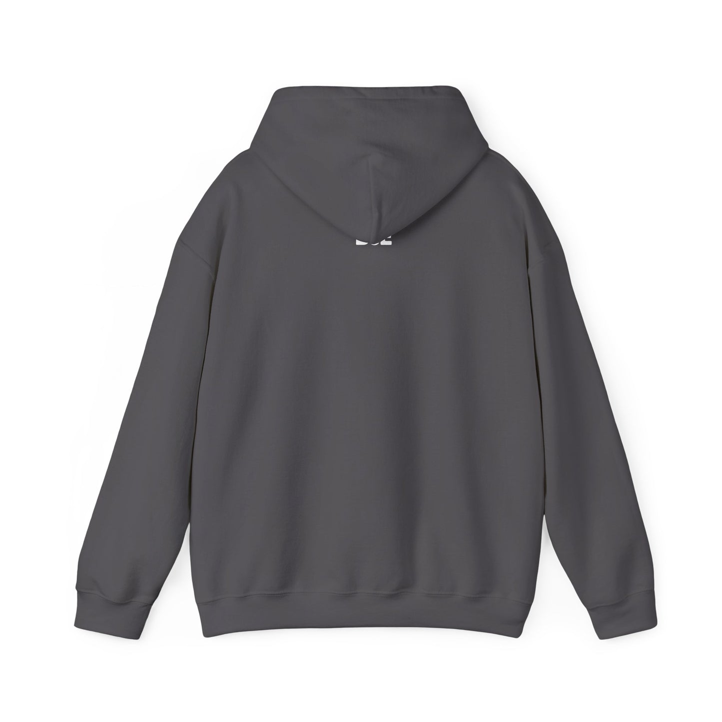 Beef or Eel "Chill Zone" Hoodie